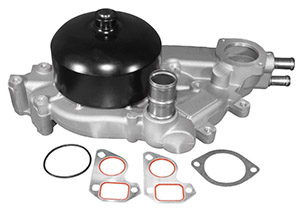 ACDelco 252-846 Professional Water Pump Kit