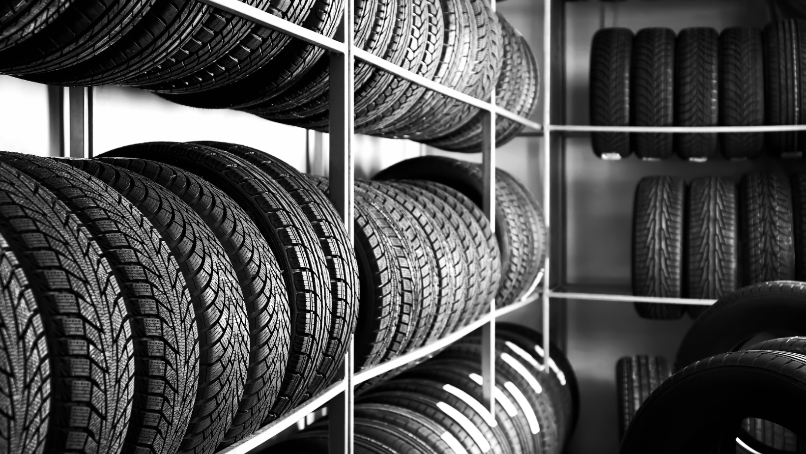 Tires for different terrains: you choose
