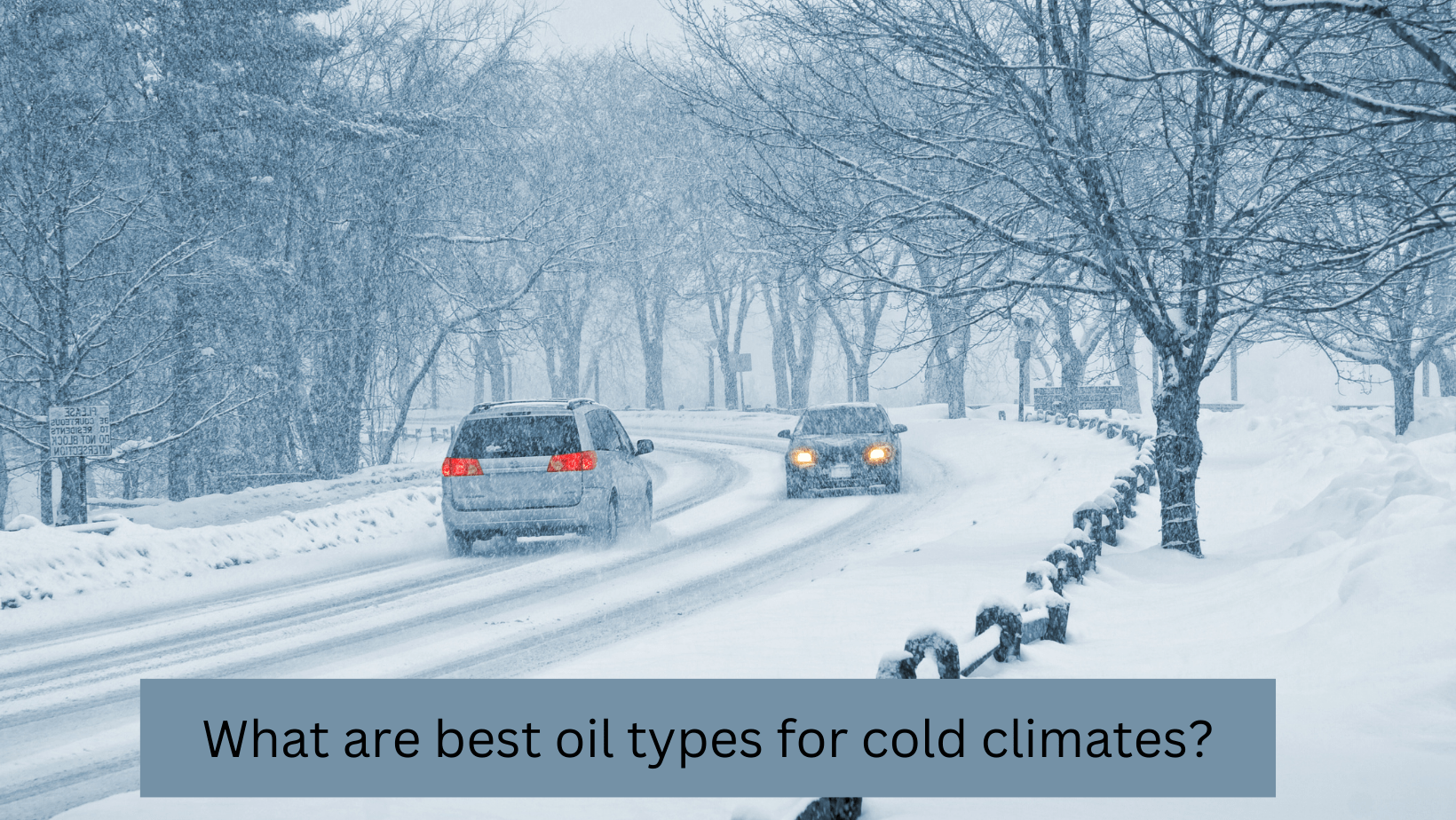 Oil types for cold climates in our guide