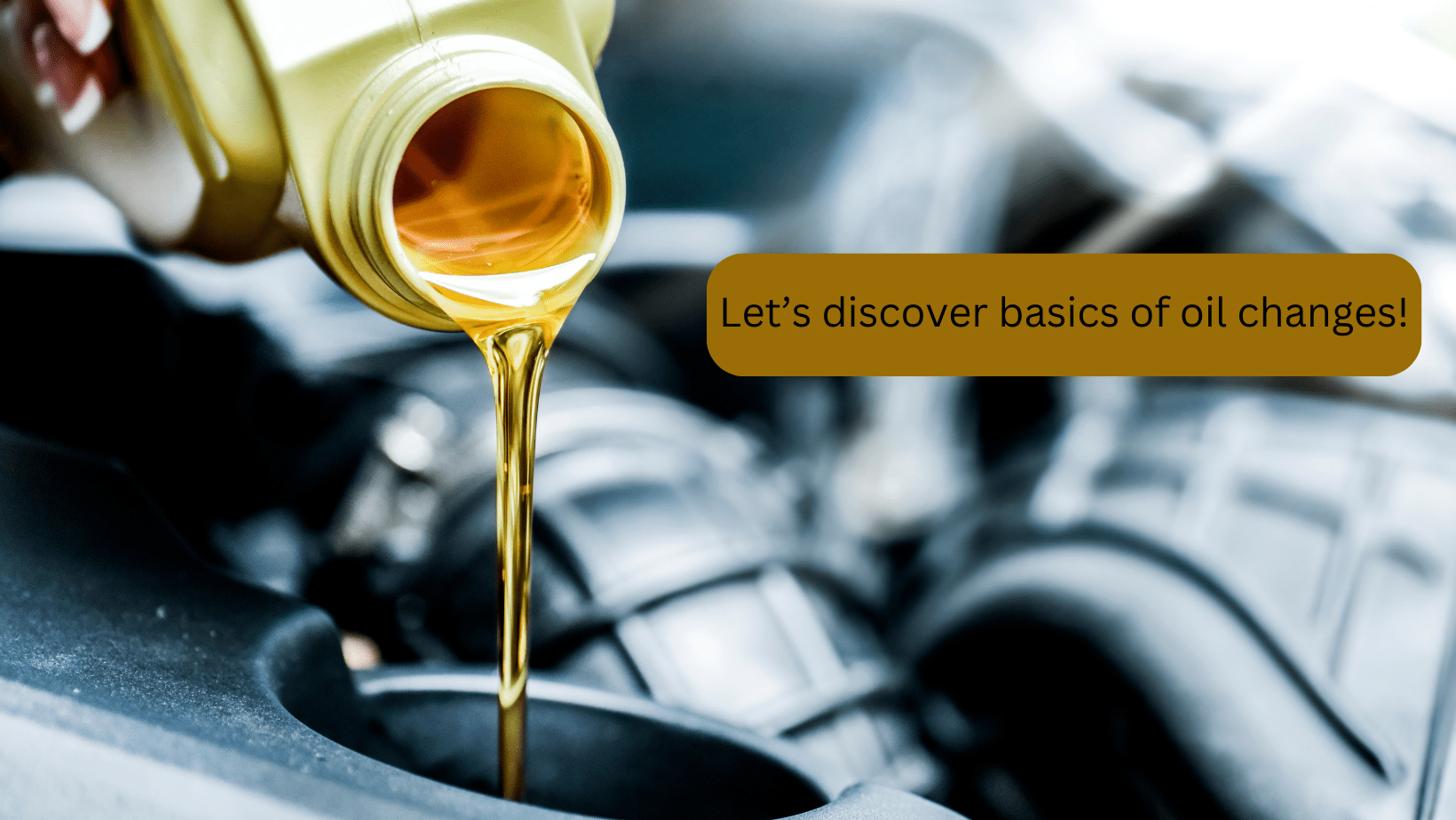 Basics of oil changes in our guide